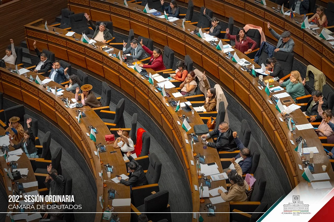 Diputados aprueban crédito de $us 200,5 millones para protección social y lo remiten al Senado