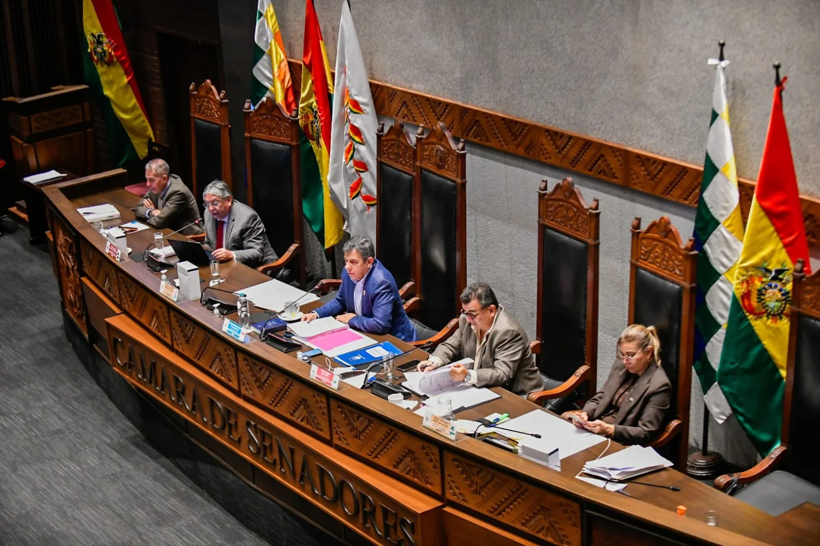 Senado sanciona crédito de $us 200,5 millones para fortalecer la protección social en Bolivia