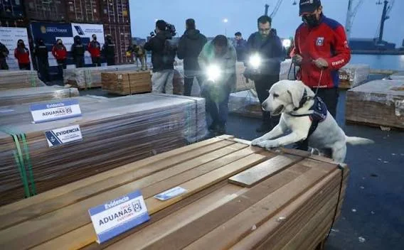 Importadores de EEUU y México exigen explicaciones a Chile por la destrucción de madera boliviana