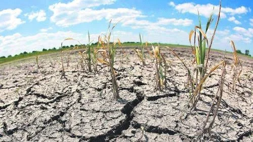 Fenómeno de El Niño: OEA alerta sobre fuertes inundaciones y sequías que podrían afectar a Bolivia