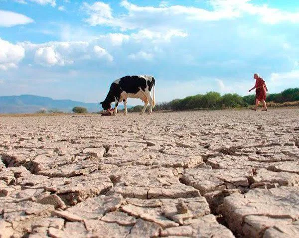 La sequía golpea a seis departamentos y deja más de 78 mil familias afectadas
