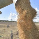 Ingresos por agronegocios en Bolivia superan a hidrocarburos por primera vez en 19 años: un futuro prometedor