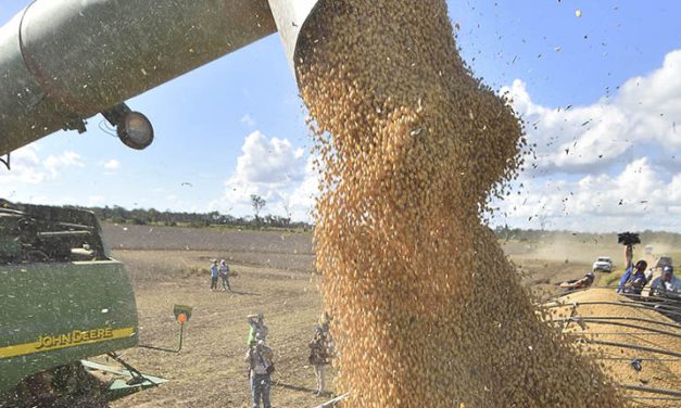 Ingresos por agronegocios en Bolivia superan a hidrocarburos por primera vez en 19 años: un futuro prometedor