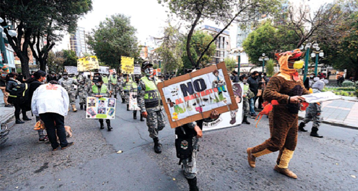 Bolivia Prepara Decreto para Regular la Venta y Servicios de Mascotas