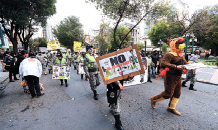 Bolivia Prepara Decreto para Regular la Venta y Servicios de Mascotas