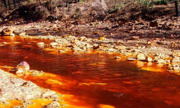 Advierten sobre el Uso Letal del Cianuro en la Minería Ilegal en Bolivia