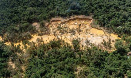 La Lucha Contra la Minería Ilegal en la Amazonía Boliviana: Un Camino Incierto