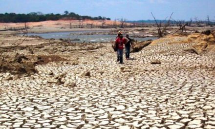 Sequía en Bolivia: Aumento de diarreas y desnutrición en zonas afectadas