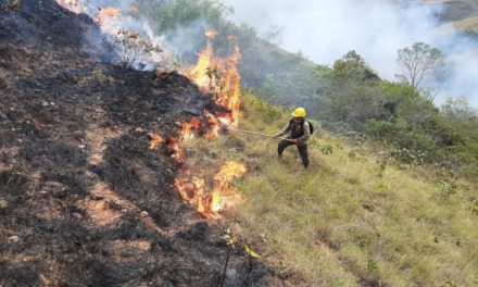 Bolivia: Casi 36 millones de hectáreas quemadas desde 2015