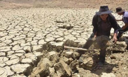 Sequía en Bolivia: Una crisis que se agudiza