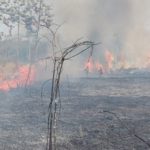 Gobierno boliviano descarta declarar emergencia por incendios y rechaza ayuda internacional