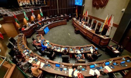 La política boliviana en un punto de inflexión: la elección de la directiva del senado