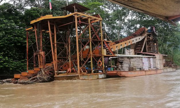 Áreas Protegidas en Bolivia en Riesgo por Petróleo y Minería: Un Desafío para la Conservación