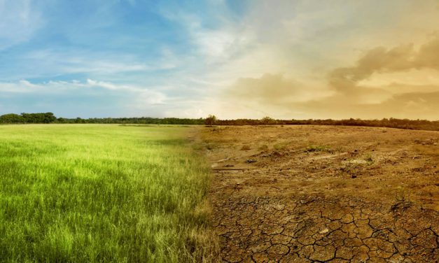 El cambio climático acelera el calentamiento global con octubre más cálido de la historia