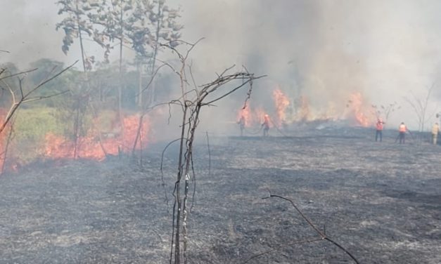 Bolivia declara control total sobre incendios forestales y finaliza emergencia