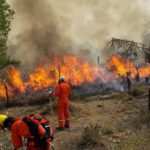 Cívicos provinciales de Santa Cruz declaran emergencia en zonas afectadas por incendios