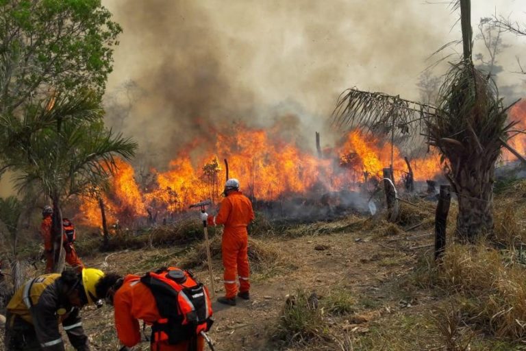 Cívicos provinciales de Santa Cruz declaran emergencia en zonas afectadas por incendios