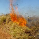 Incendios Devastadores en Bolivia: Cuatro Regiones y Viviendas Afectadas en Crisis Ambiental