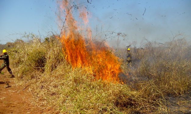 Después de lluvias en el oriente, Bolivia reporta disminución de focos de calor en Santa Cruz