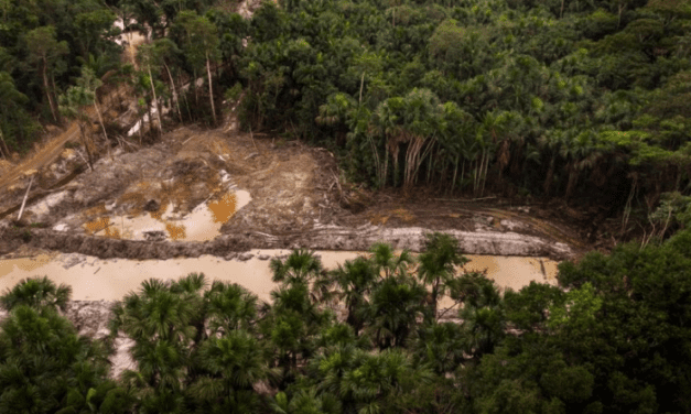 Más de 100 solicitudes de operaciones mineras amenazan áreas protegidas de Bolivia