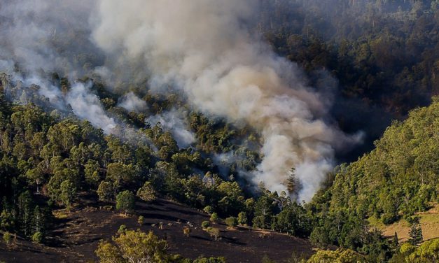 Sequía y Fuego Asolan La Paz, Cochabamba y Santa Cruz: Impacto en la Vida y la Economía