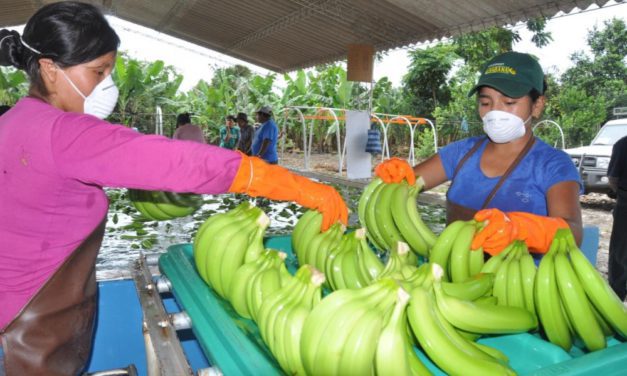 Título: “Compromiso Gubernamental con Bananeros: Mediación en Deuda Argentina”