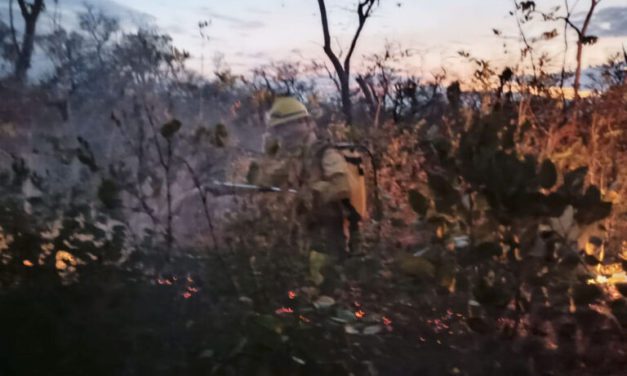 Más de 150 focos de calor activan las alarmas por incendios en Pando