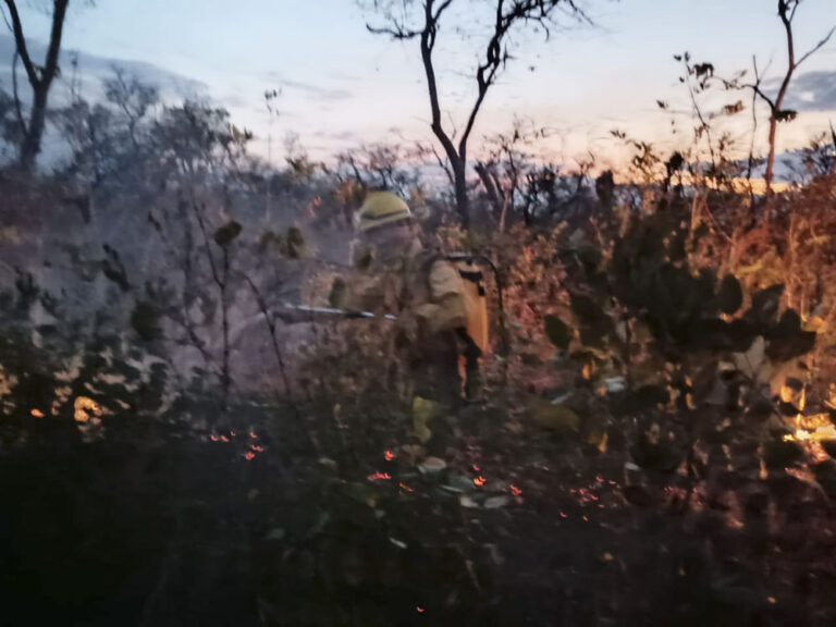 Más de 150 focos de calor activan las alarmas por incendios en Pando