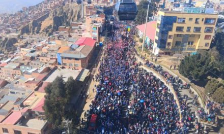 “Marcha por la Democracia”: Sectores se movilizan en El Alto y La Paz en respaldo a Luis Arce