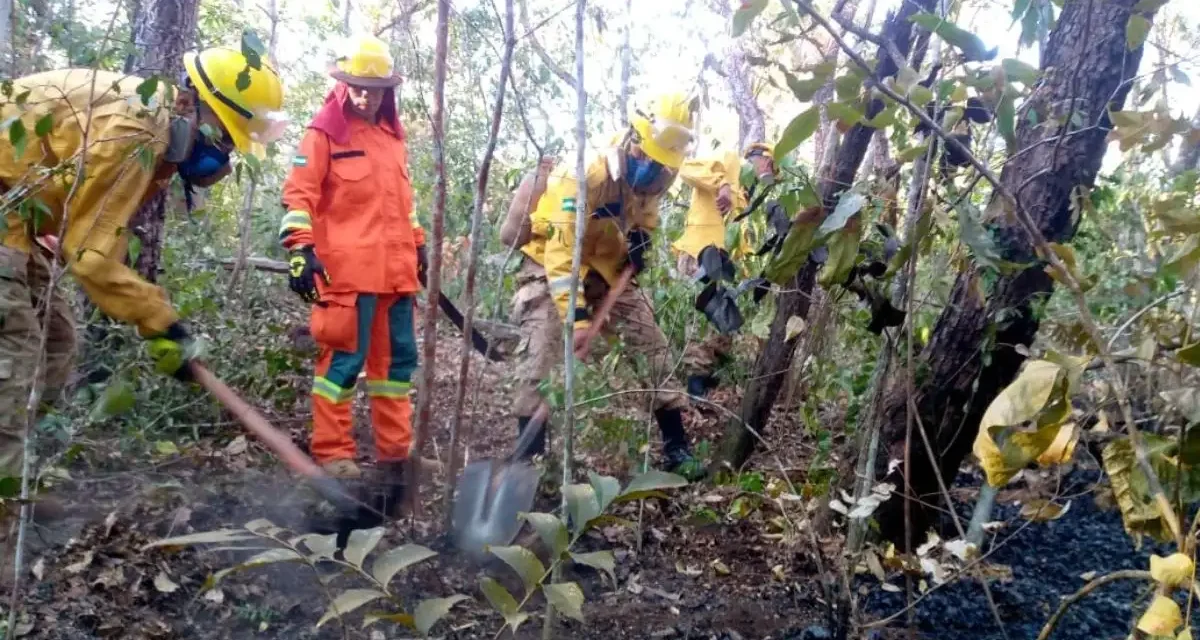 Defensa Civil reporta un incremento significativo de focos de calor en Bolivia