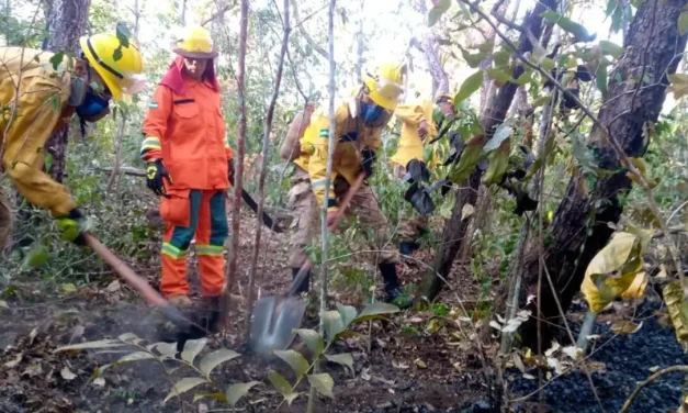 Defensa Civil reporta un incremento significativo de focos de calor en Bolivia