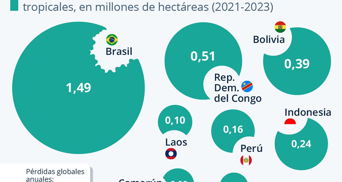 Brasil, el país con mayor pérdida de bosques tropicales primarios del mundo