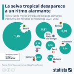 Brasil, el país con mayor pérdida de bosques tropicales primarios del mundo