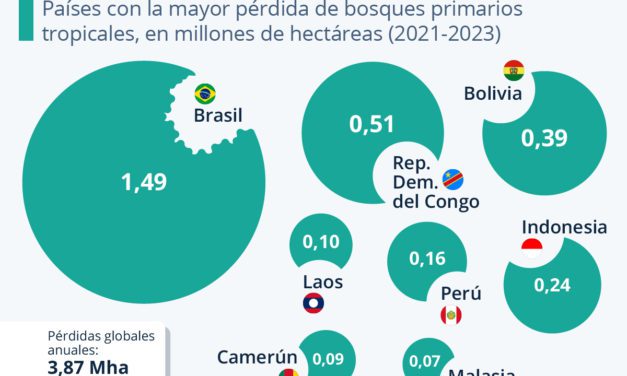 Brasil, el país con mayor pérdida de bosques tropicales primarios del mundo