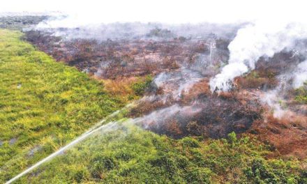 Se registran 30 incendios en 12 municipios de Bolivia y varias comunidades están en riesgo