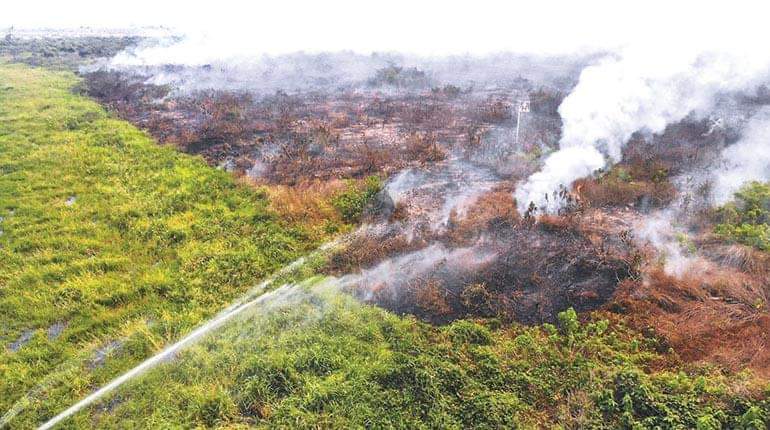 Se registran 30 incendios en 12 municipios de Bolivia y varias comunidades están en riesgo