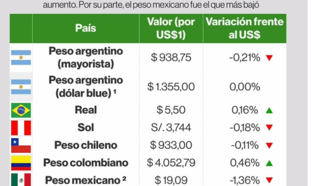 La volatibilidad del dólar paralelo