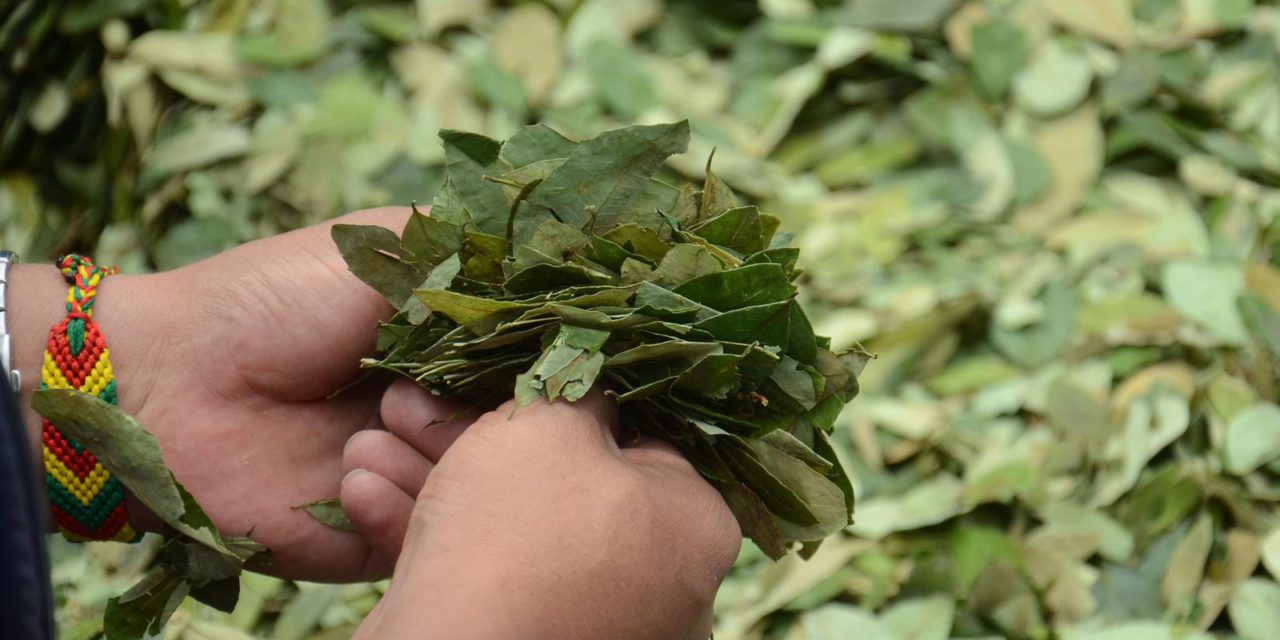 Primer Simposio Inter-Científico sobre la hoja de coca: Un paso hacia la soberanía de los pueblos y la descolonización del conocimiento