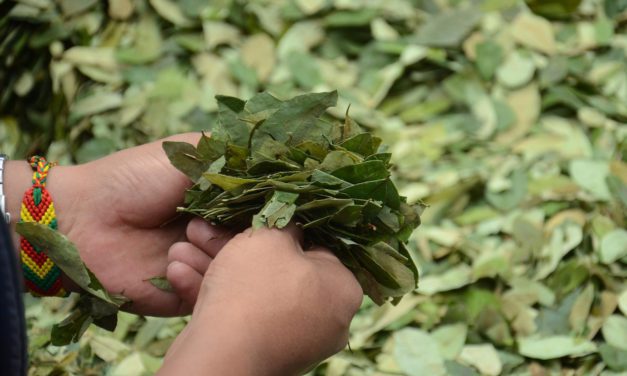 Primer Simposio Inter-Científico sobre la hoja de coca: Un paso hacia la soberanía de los pueblos y la descolonización del conocimiento