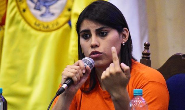 Senadora Barrientos dice que comisión del Senado aprobó elecciones primarias abiertas