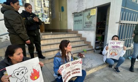 La Paz: Protesta pacífica de Ríos de Pie y ProPacha contra incendios frente al Ministerio de Medio Ambiente y Agua