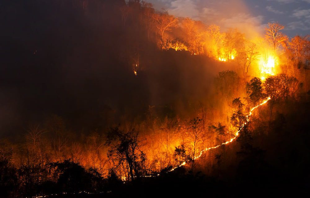 Incendios devastan el 22% de áreas protegidas y el 28% de los TCO en Santa Cruz