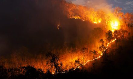 Contabilizan que los incendios en Bolivia arrasan con más de 4 millones de hectáreas