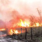 “El fuego es incontrolable”: San Matías vive un “desastre” a causa de los incendios forestales