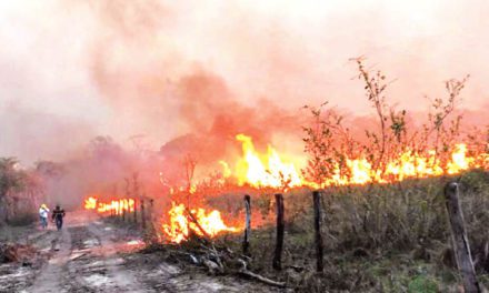 “El fuego es incontrolable”: San Matías vive un “desastre” a causa de los incendios forestales