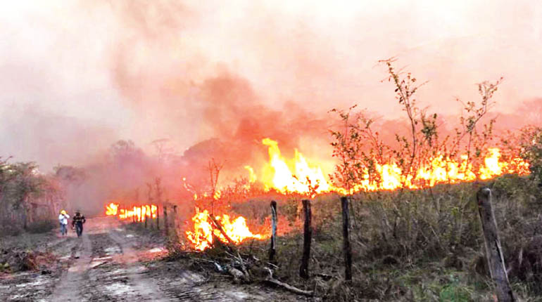 “El fuego es incontrolable”: San Matías vive un “desastre” a causa de los incendios forestales