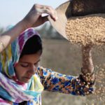 Cifras de hambre mundial siguen altas por tercer año consecutivo, alerta la ONU