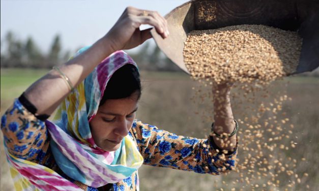 Cifras de hambre mundial siguen altas por tercer año consecutivo, alerta la ONU