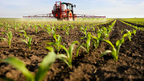 Potosí: Prevén caída de producción agrícola debido por carencia de agua en cuatro regiones