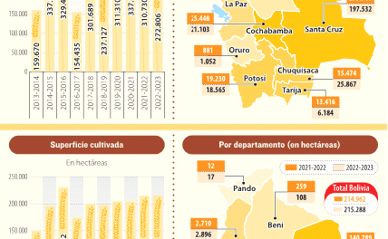 El déficit en la producción nacional de trigo llega al 67%